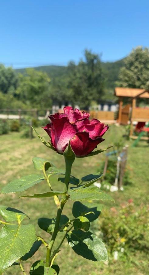 Wooden House Ripac Villa Bihac Ngoại thất bức ảnh